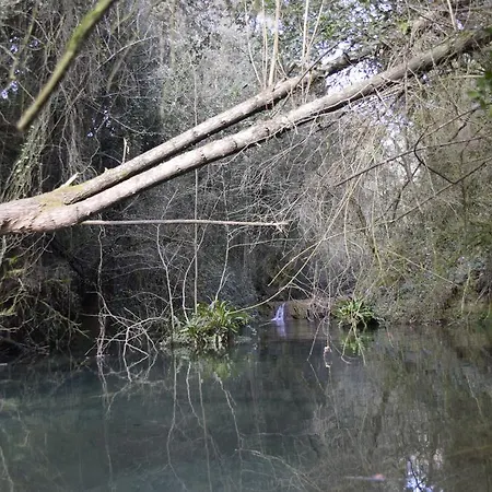 Ca La Tambona * Sant Felíu de Pallarols